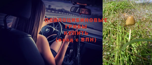 гидропоника Дмитров