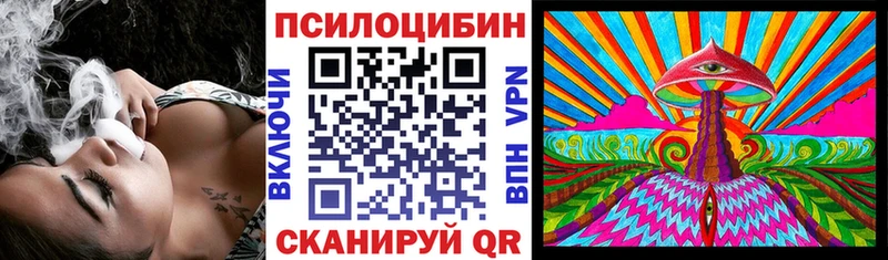 дарк нет телеграм  Бабушкин  Галлюциногенные грибы Cubensis  цены  