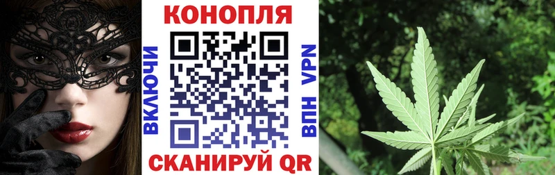 Бошки марихуана семена мориарти официальный сайт Бабушкин купить закладку